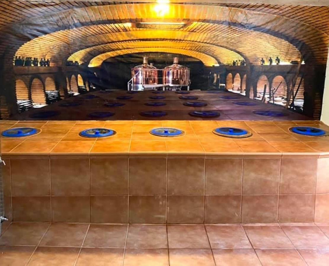Brewery House&Beer Spa Aspindza المظهر الخارجي الصورة